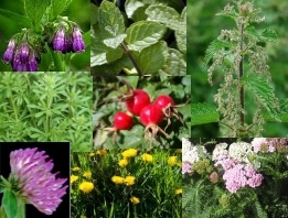 Dried Herbs for Animal Self-Selection