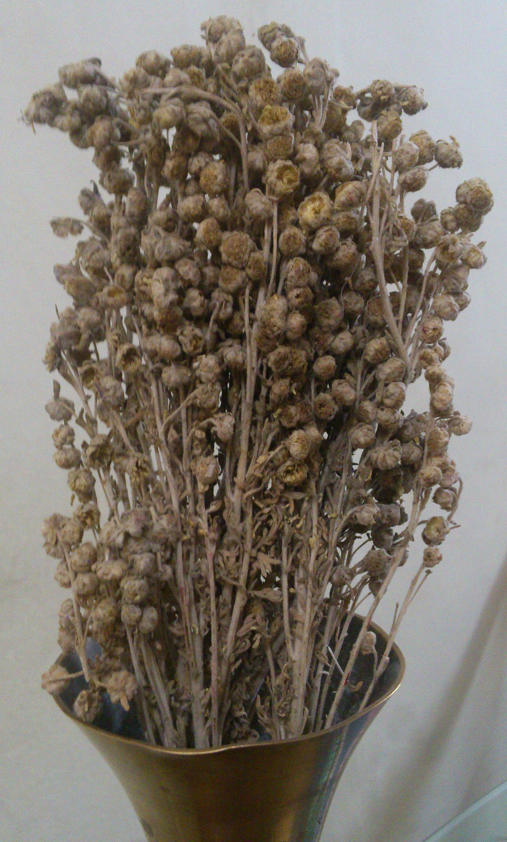 dried davana flowers in vase